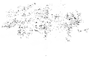 Stolldrew